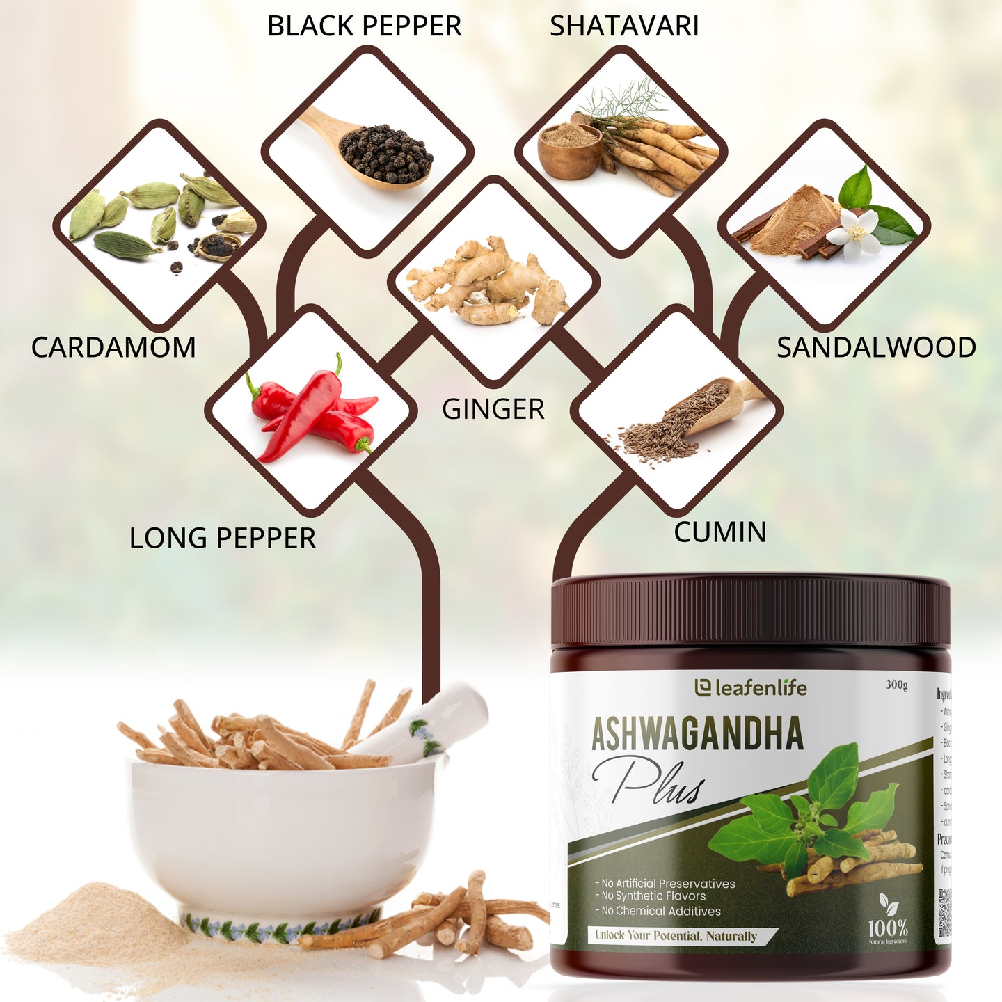 Ashwagandha Plus - Organic Stress Relief and Energy Booster